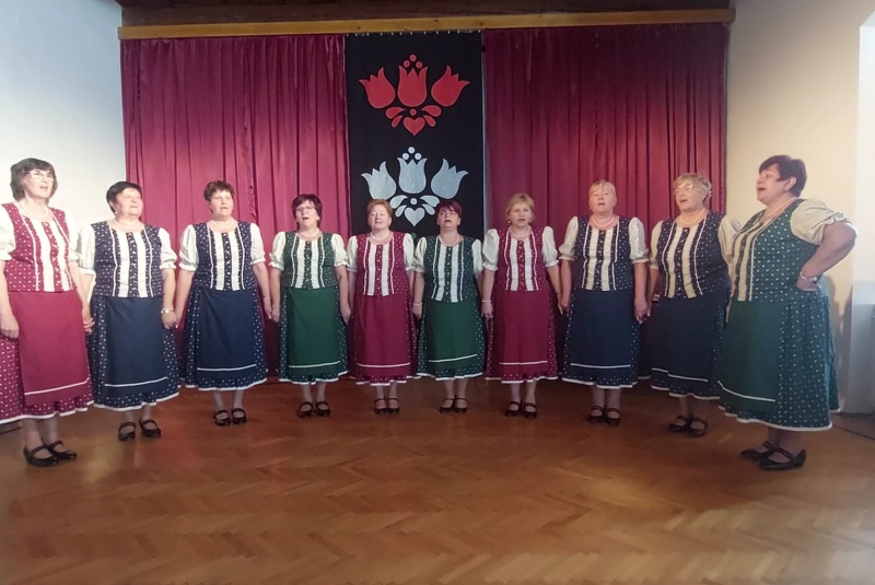 A Bazsarózsa fellépése Magyarországon - Vystúpenie skupiny